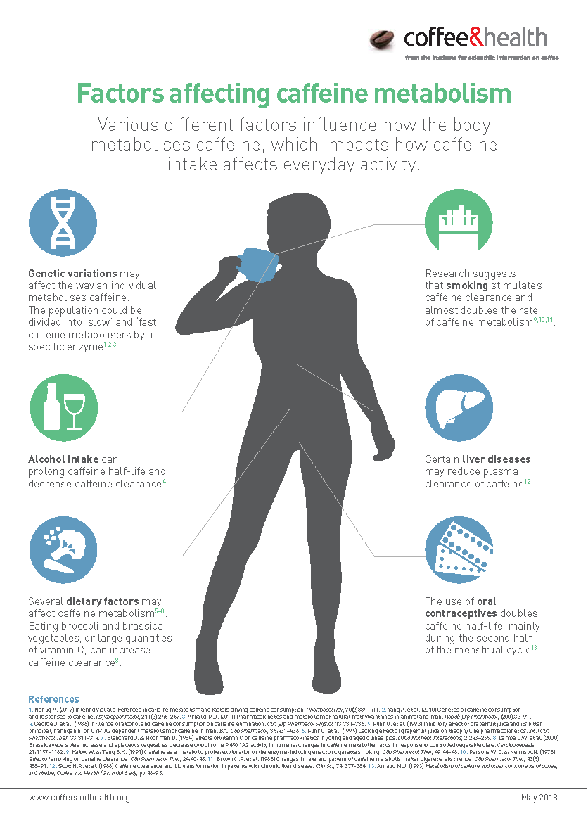 Factors affecting caffeine metabolism